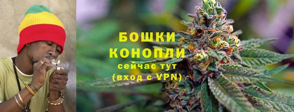 ПСИЛОЦИБИНОВЫЕ ГРИБЫ Армянск