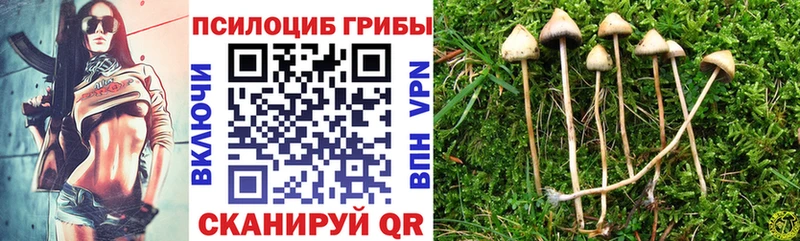 Галлюциногенные грибы мицелий  сколько стоит  Малоархангельск 